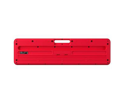 Đàn Organ Casiotone CT-S200